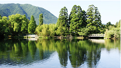 生態塘